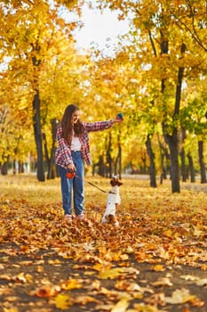 Happy joyful little girl playing with her funny Jack Russell Terrier in beautiful autumn forest, child playing and having fun with dog during walk in nature. Children and pets outdoors
