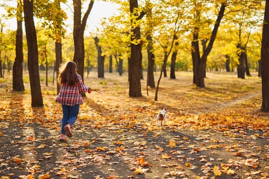 Happy joyful little girl playing with her funny Jack Russell Terrier in beautiful autumn forest, child playing and having fun with dog during walk in nature. Children and pets outdoors