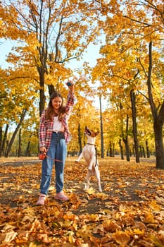 Happy joyful little girl playing with her funny Jack Russell Terrier in beautiful autumn forest, child playing and having fun with dog during walk in nature. Children and pets outdoors