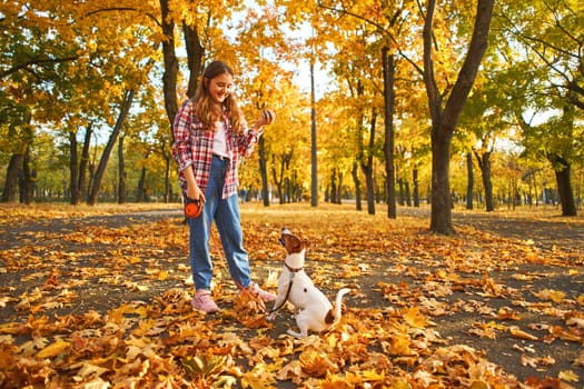 Happy joyful little girl playing with her funny Jack Russell Terrier in beautiful autumn forest, child playing and having fun with dog during walk in nature. Children and pets outdoors