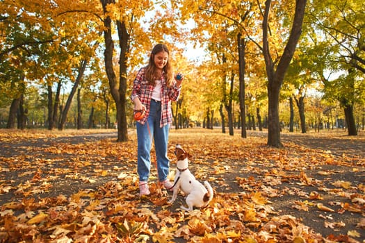 Happy joyful little girl playing with her funny Jack Russell Terrier in beautiful autumn forest, child playing and having fun with dog during walk in nature. Children and pets outdoors