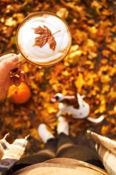 Autumn mood. Top view of a female figure with a mug of coffee against the background of fallen orange leaves, a pumpkin and a dog