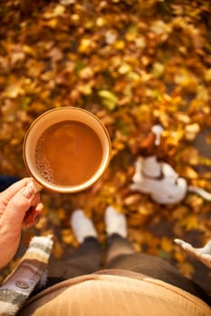 Autumn mood. Top view of a female figure with a mug of coffee against the background of fallen orange leaves, a pumpkin and a dog