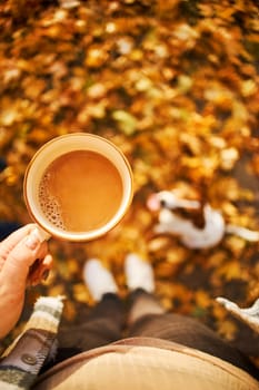 Autumn mood. Top view of a female figure with a mug of coffee against the background of fallen orange leaves, a pumpkin and a dog