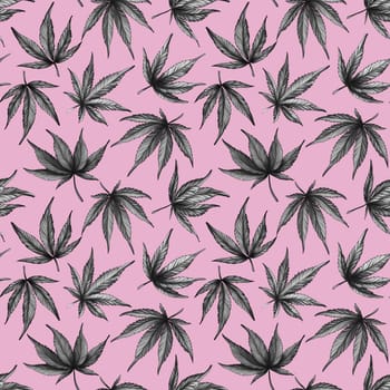 hand-drawn Seamless cannabis pattern on a pink background. Black and white hemp leaves on a pink background.