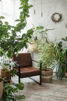 A fragment of the interior with a variety of indoor plants and plaster sculptures. Urban jungle concept. Biophilia design.