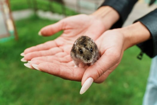 A small hamster nestled comfortably in a child's palm sparks joy and curiosity, embodying the innocence of companionship