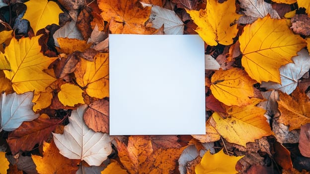 Autumn mood paper frame mockup on orange leaves