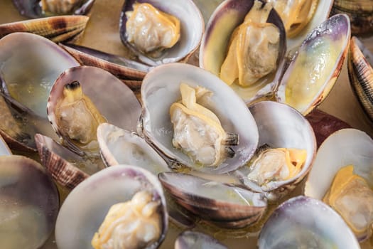 Close up freshly cooked opened clams shell in a plate