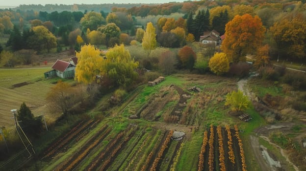 An aerial view showcasing a vibrant vegetable garden with various crops thriving below
