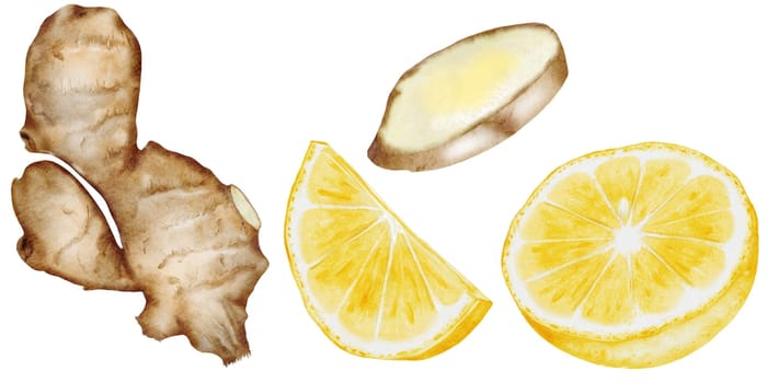 Lemon and ginger watercolor set. Hand drawn citrus and hot root on isolated white background. Clip art fruits and spices for hot drinks. Ideal for natural tea design and nutritionist blogs design. High quality illustration