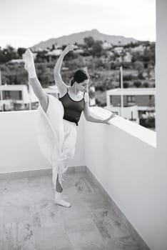 On a rooftop offering stunning scenic views, a serene ballet dancer poses with graceful elegance and poise