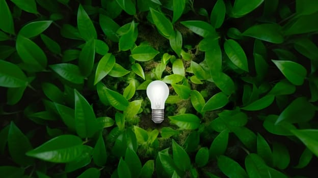 A light bulb is beautifully surrounded by vibrant green leaves set against a dark background, creating an intriguing contrast and ambiance