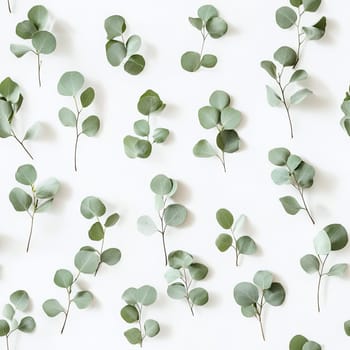 A flat lay arrangement of green eucalyptus leaves on a white background. The leaves are arranged in a simple, repeating pattern, creating a natural and minimalist aesthetic.