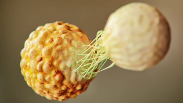 A highly detailed 3D rendering showing a T-cell attacking a cancer cell. The intricate connection between the cells is highlighted