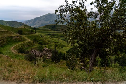 Chokhsky terraces Dagestan. Landscape of mountainous Dagestan with terraced fields and peaks mountains in the distance
