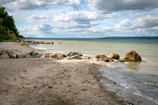 beach with rocks in denmark with lot of green plants and trees trelde naes at the kattegat water