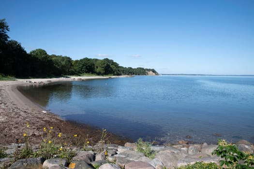 beach with rocks in denmark with lot of green plants and trees trelde naes at the kattegat water