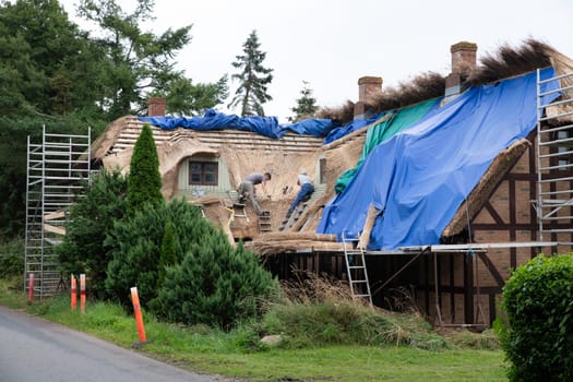 vjelje,denmark,14-08-2024: Thatching a country cottage. The traditional craft of thatching a cotswolds country cottage