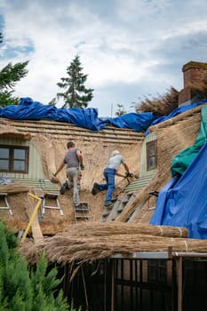 vjelje,denmark,14-08-2024: Thatching a country cottage. The traditional craft of thatching a cotswolds country cottage