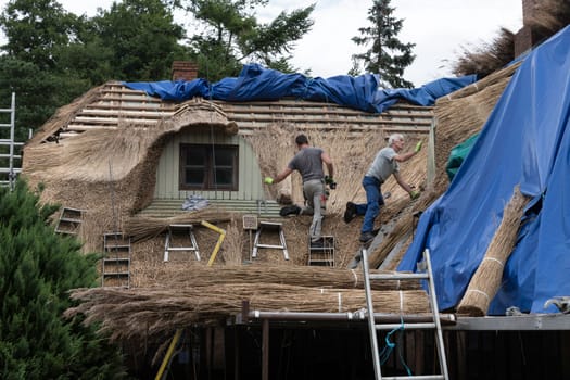 vjelje,denmark,14-08-2024: Thatching a country cottage. The traditional craft of thatching a cotswolds country cottage