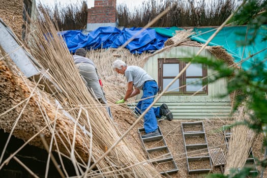 vjelje,denmark,14-08-2024: Thatching a country cottage. The traditional craft of thatching a cotswolds country cottage