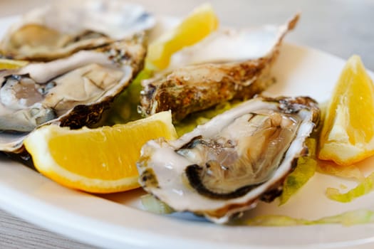 Fresh large oysters, beautifully presented with lemon slices, on a pristine white plate, an exquisite seafood delicacy