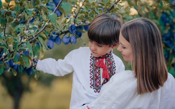 Tender scene of loving son with mom on plum orchard backdrop with sunlight. Beautiful family. Cute 4 years old kid with mother. Parenthood, childhood, happiness, children wellbeing concept.