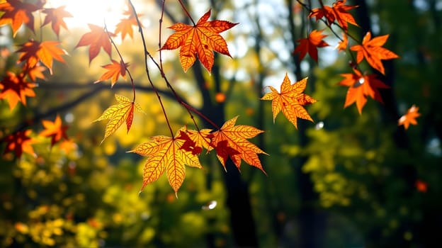 Bright orange and red leaves adorn branches, illuminated by warm sunlight filtering through the trees in a tranquil forest during autumn.
