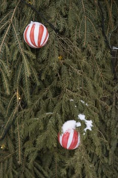 Christmas trees decorated with red balloons in front of the cafe entrance. Street New Year decorations.