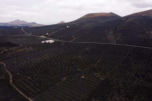 drone view of vines growing in pit against high dry mountains in Geria, Lanzarote at Canary Islands, Spain, concept of viticulture and traditional agriculture