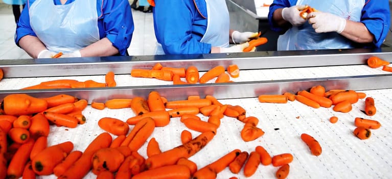 In a bustling processing facility, workers in blue aprons carefully sort vibrant orange carrots on a production line, preparing them for distribution.