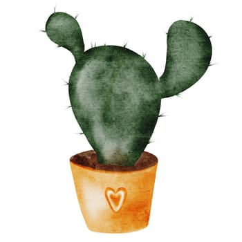 Cactus cartoon watercolor. Cute potted plant hand drawn on isolated white background. Clip art plant in naive style. Ideal for educational cards and posters. High quality illustration