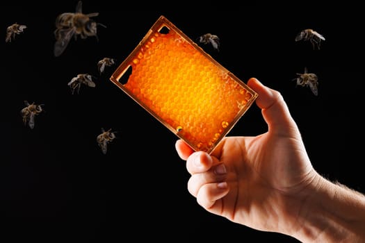 hand hold bee honeycomb close up surrounded by flying bees on dark background, beekeeping concept, beekeeper collecting honey