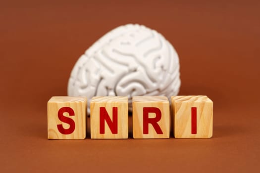 Wooden blocks display SNRI while a stylized brain sculpture highlights the connection to mental health and medication.