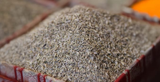 Close-up of pile of fresh natural dill seeds anethum graveolens harvest from farm. Fennel or cumin organic spice to add in food. Healthy eating concept