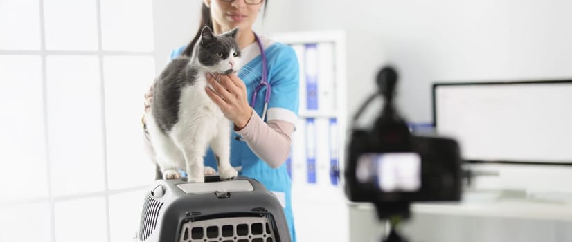 Portrait of young woman doctor present grey cat on camera, petting him for video. Prepare for animal exhibition, live show. Veterinary, care, help concept
