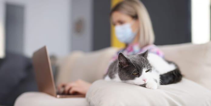 Close-up of domestic cat sleeping peacefully on sofa while owner woman working on laptop. Stay home on quarantine, self isolation. Remote job, cozy concept