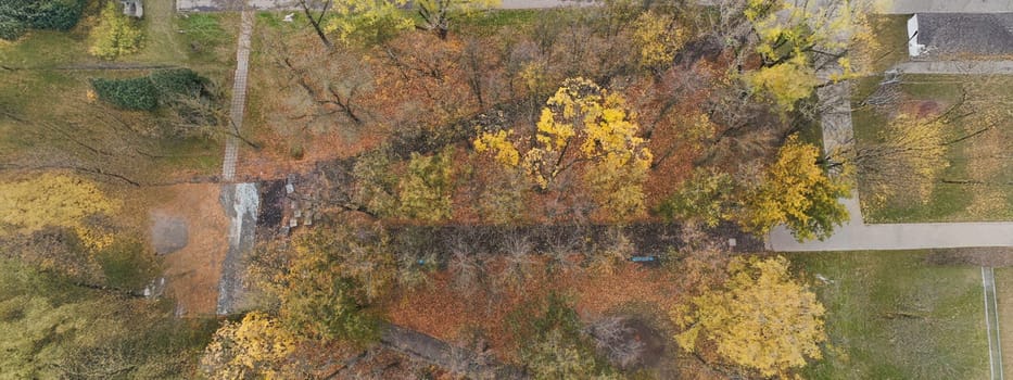 Top view of green area from building, green trees with golden leaves in autumn season. Territory with streets and road. Exterior, nature, fresh air concept