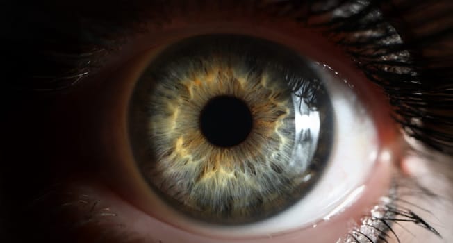 Close-up of persons eye with beautiful green shades taken in macro shot. Detailed picture of mans vision, good sight. Ophthalmology, visual sense concept