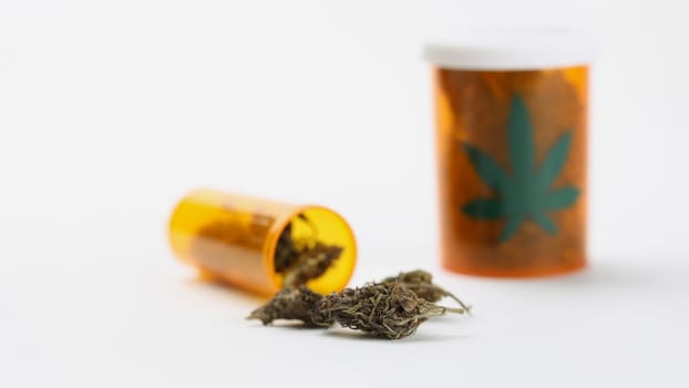 Close-up of medicinal cannabis or marijuana flower buds put in plastic container. Dried weed bud for medical use or treatment on surface. Hemp, cbd concept