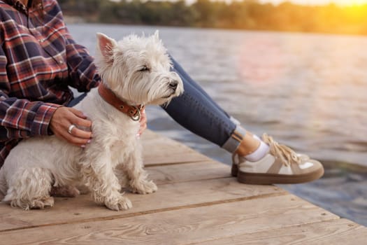 Man sitting on wooden pier by lake, gently petting small white dog.dog enjoying serene moment by water during sunset.dog walking concept