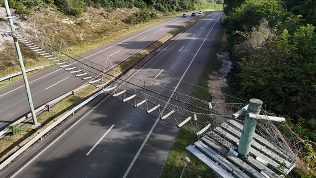 mata de sao joao, bahia, brazil - september 9, 2024: View of a wild animal flyover on the BA 099 highway in the Praia do Forte region.