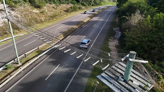 mata de sao joao, bahia, brazil - september 9, 2024: View of a wild animal flyover on the BA 099 highway in the Praia do Forte region.