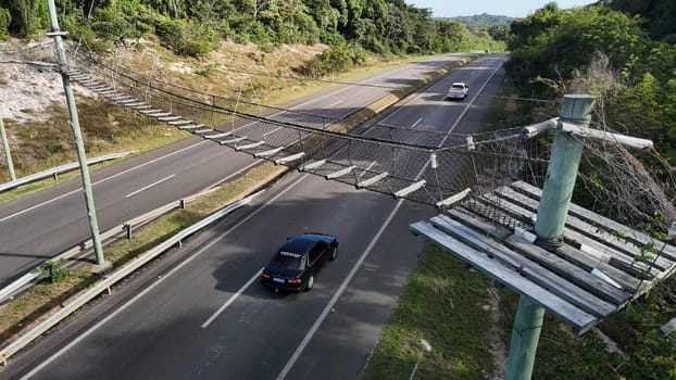 mata de sao joao, bahia, brazil - september 9, 2024: View of a wild animal flyover on the BA 099 highway in the Praia do Forte region.