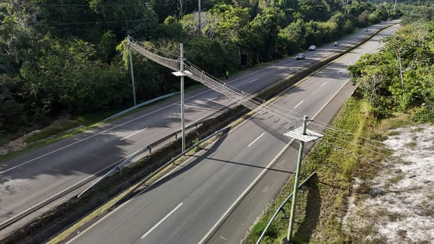 mata de sao joao, bahia, brazil - september 9, 2024: View of a wild animal flyover on the BA 099 highway in the Praia do Forte region.