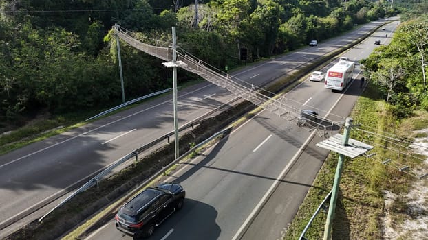 mata de sao joao, bahia, brazil - september 9, 2024: View of a wild animal flyover on the BA 099 highway in the Praia do Forte region.