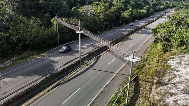 mata de sao joao, bahia, brazil - september 9, 2024: View of a wild animal flyover on the BA 099 highway in the Praia do Forte region.