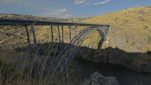 Video of the iconic half-arch iron bridge over the Duero River, with plants swaying in the wind in the foreground.