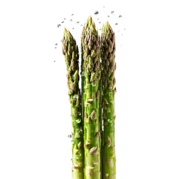Asparagus spears with water droplets and steam rising in bunch Food and culinary concept. Food isolated on transparent background.